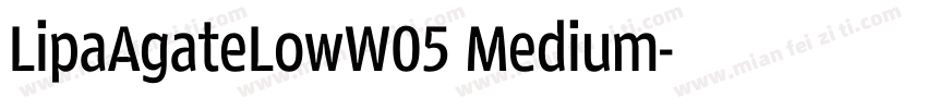 LipaAgateLowW05 Medium字体转换